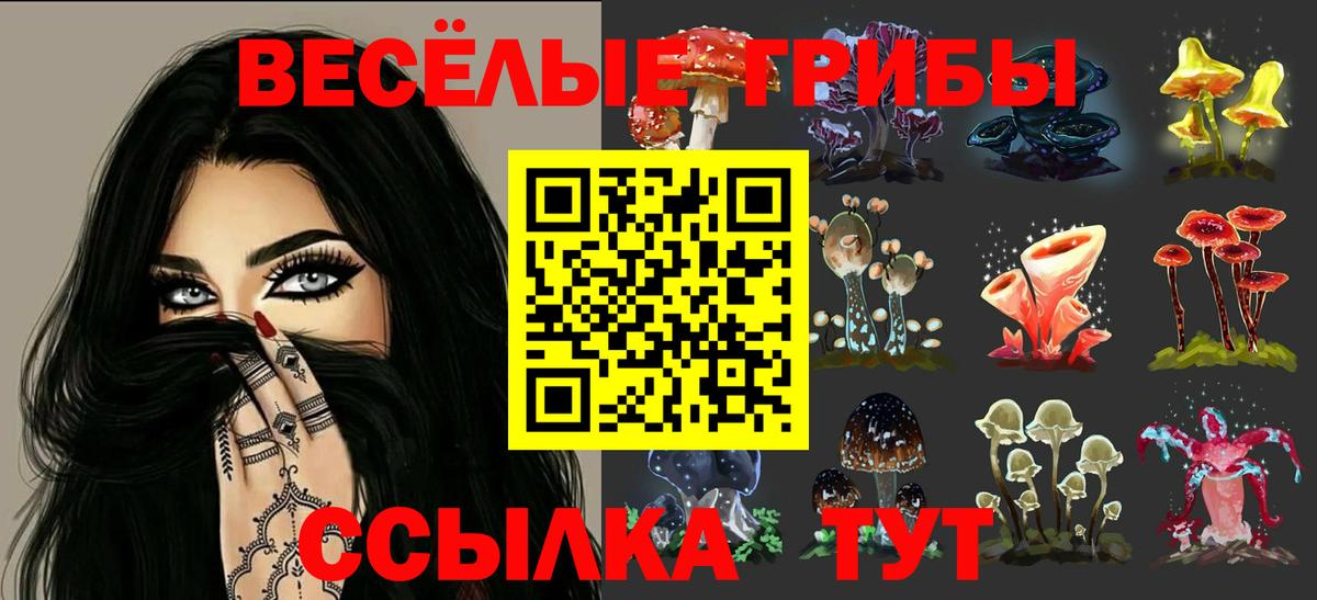 Псилоцибиновые грибы MAGIC MUSHROOMS  Псилоцибиновые грибы GOLDEN TEACHER  Вход с VPN  Шадринск 