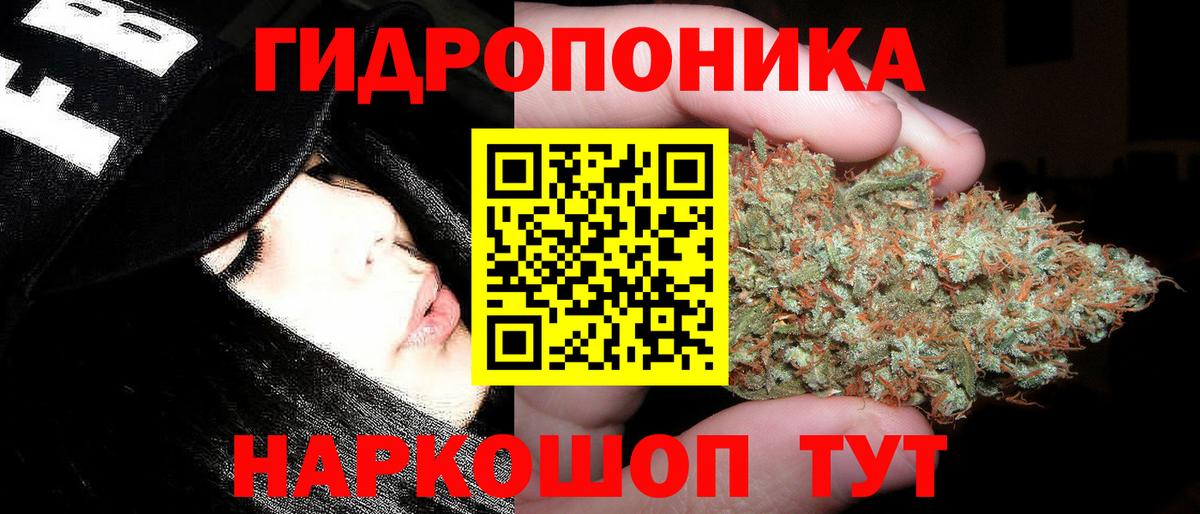 Бошки Шишки Amnesia  Вход с VPN  Марихуана VHQ  Шадринск  Бошки марихуана планчик 